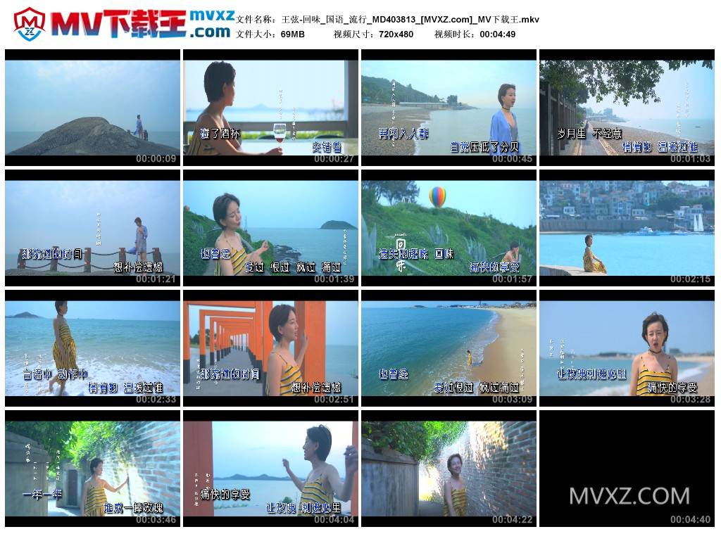 王弦-回味_国语_流行_MD403813